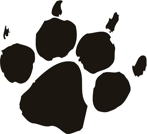 paw